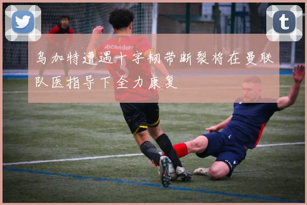 乌加特遭遇十字韧带断裂将在曼联队医指导下全力康复